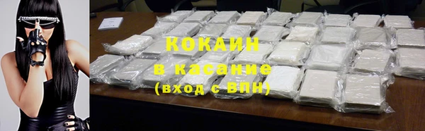 стафф Алзамай