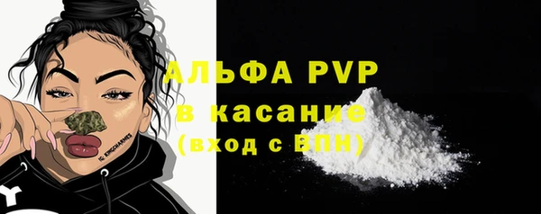 стафф Алзамай