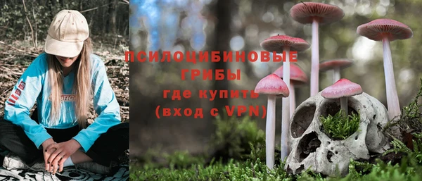 стафф Алзамай