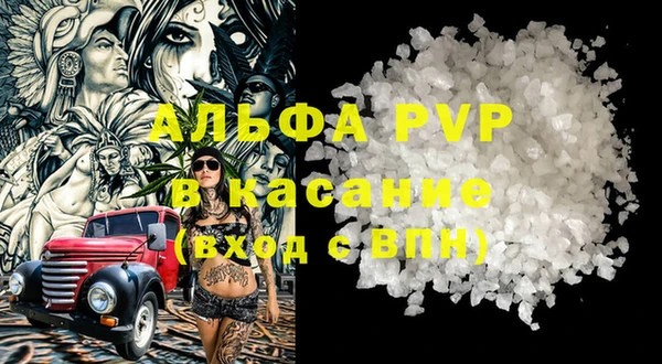 стафф Алзамай