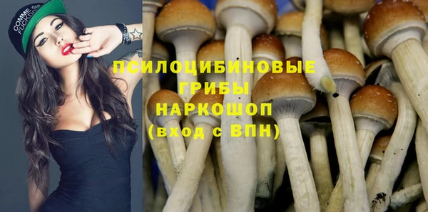 2c-b Алексеевка