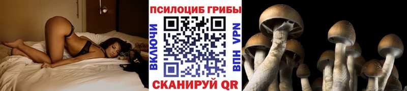 Галлюциногенные грибы мухоморы  купить наркоту  Алексеевка 